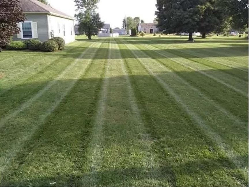Fresh-cut residential lawn