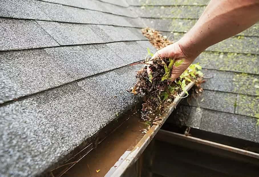Gutter Cleaning by Legendary Property Care