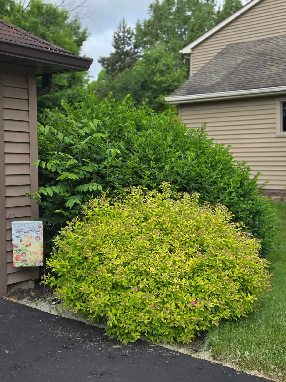 Landscaping project photo 2