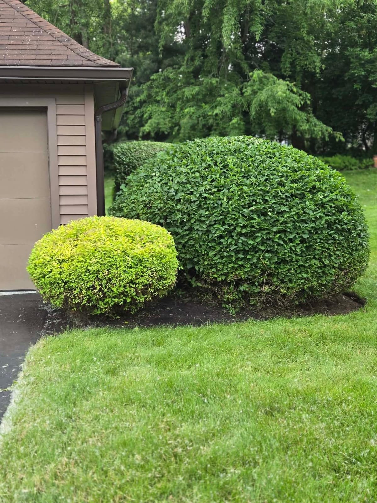 Landscaping project photo 3
