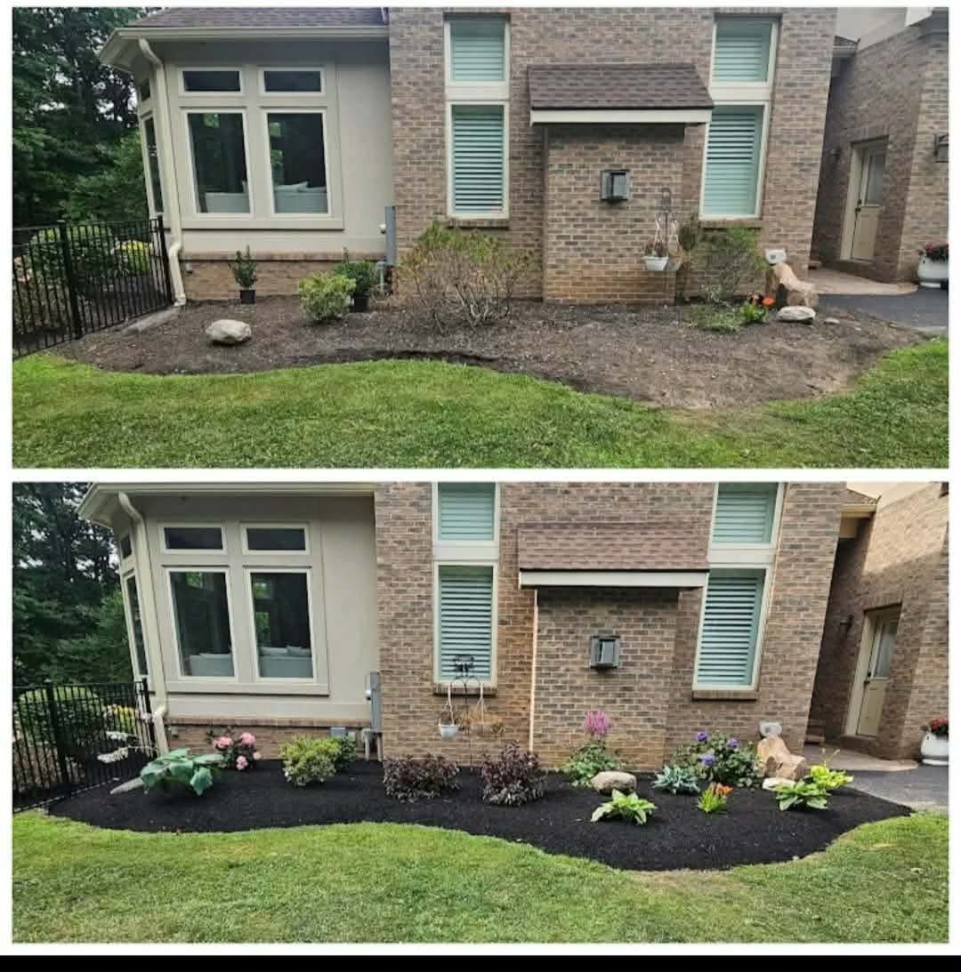 Landscaping project photo 5