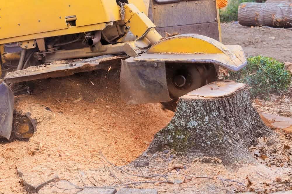 Stump Grinding by Legendary Property Care